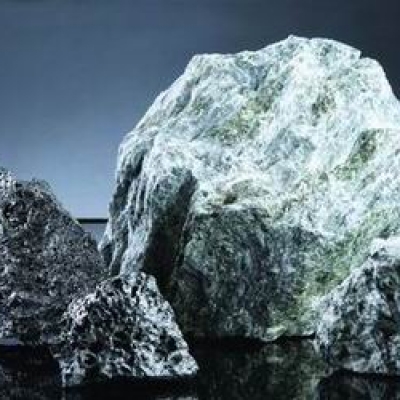 硼镁矿石 Camsellite